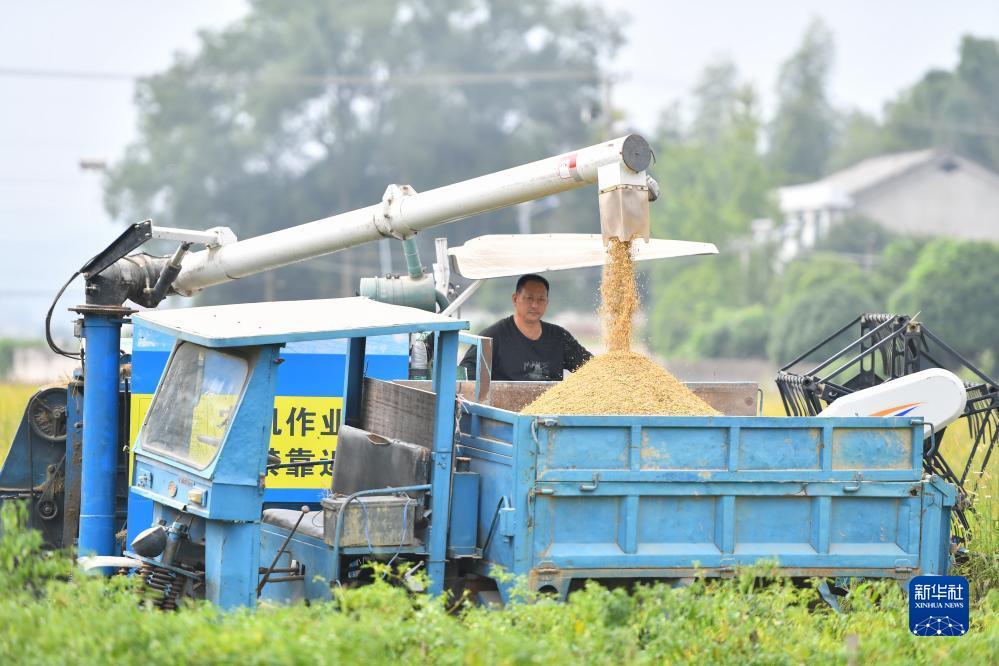 98捕鱼游戏中心